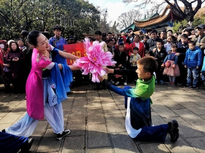 通海縣第十八屆迎春花街 繁花獻(xiàn)瑞，禮品花卉銷售成亮點(diǎn)